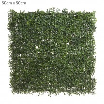 Living Wall Art - Boxwood Mat