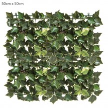 Living Wall Art - Ivy Mat