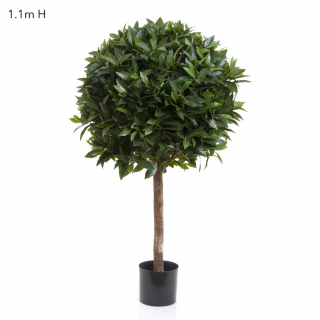 Laurel Ball Tree 1.1m