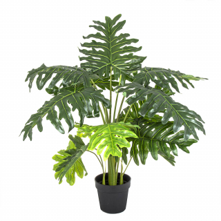 Split Philo Tree 110cm