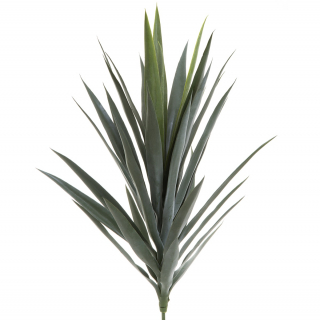 Yucca Head 78cm Green