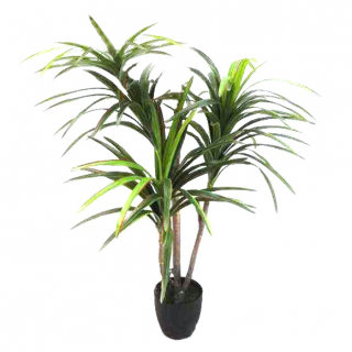 Yucca Tree Real Touch 125cm