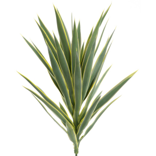 Yucca Head 78cm Green