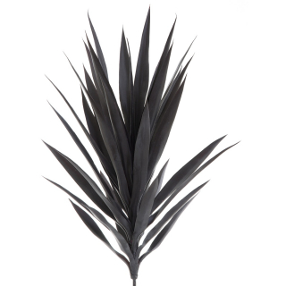 Yucca Head 78cm Burgundy